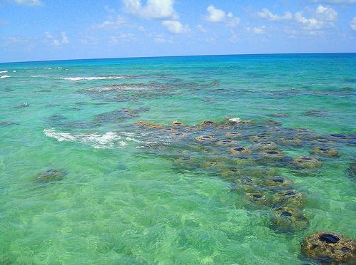 arrecifes (2018_10_08 13_33_54 UTC).jpg